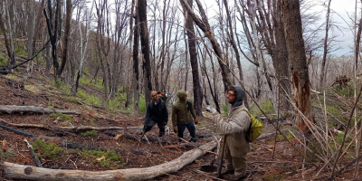trabajos en Cholila, tras los incendios del 2015
